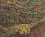 Vincent Van Gogh Olive Trees against a Slope of a Hill (nn04) Germany oil painting artist